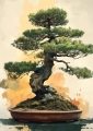 Plakat Drzewko bonsai I