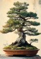Plakat Drzewko bonsai II