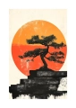 Plakat Bonsai na tle słońca I passe-partout