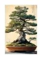 Plakat Drzewko bonsai II passe-partout