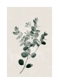 Plakat Gałązka i liście II passe-partout