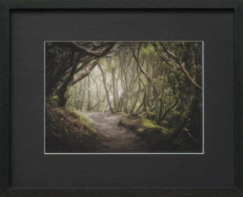 Obraz w ramie 32x26 – leśna sceneria w czerni i zieleni.