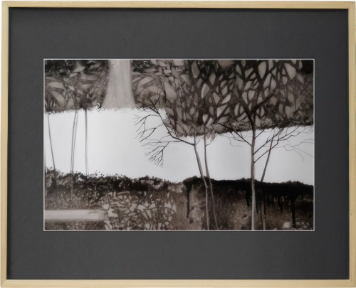 Obraz w ramie 57x42 Leśna Cisza – czarno-biały pejzaż z drzewami.