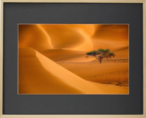 Obraz w ramie 72x52 – samotne drzewo na piasku, rama, drewno, pustynia, widok
