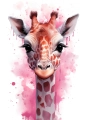 Plakat Urocza żyrafa III