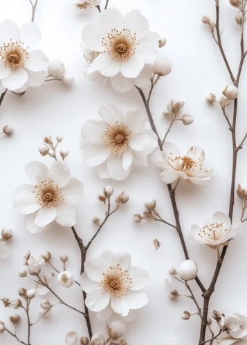 Plakat Kwiaty jak ze zdjęcia II