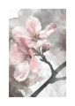 Plakat Akwarelowy rozkwit II passe-partout