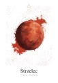 Plakat Znak zodiaku – Żywioł Strzelca