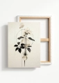 Obraz na płótnie Roślinne wariacje IV produkt