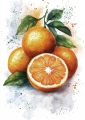 Plakat Oranges II bez napisu