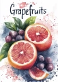 Plakat Grapefruits