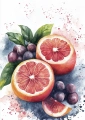 Plakat Grapefruits bez napisu