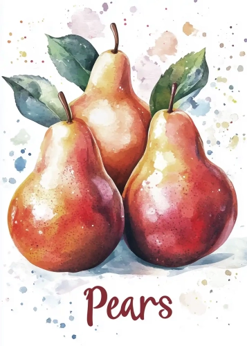 Plakat Pears