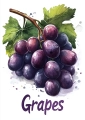 Plakat Grapes II