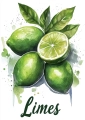 Plakat Limes II