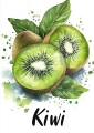 Plakat Kiwi I