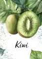 Plakat Kiwi III