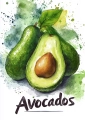 Plakat Avocados II