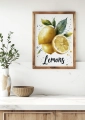 Plakat do kuchni Lemons