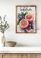 Plakat do kuchni Grapefruits