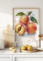 Plakat kuchenny Peaches