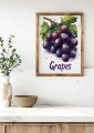 Plakat do kuchni Grapes II