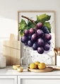 Plakat owocowy Grapes II