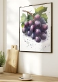 Plakat w ramie Grapes II
